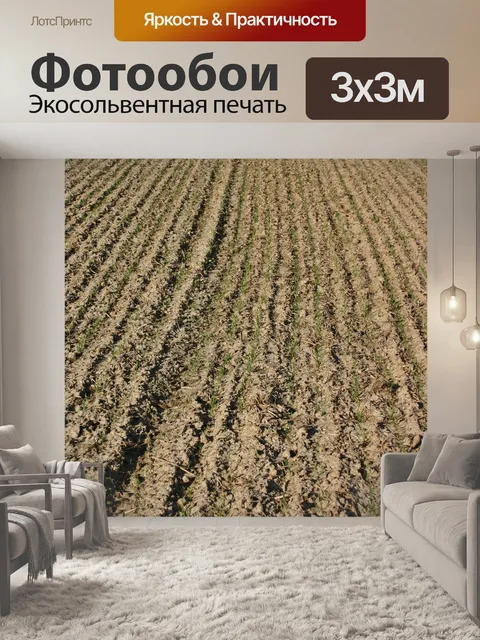 Фотообои Поля