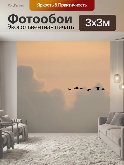 Фотообои Птицы