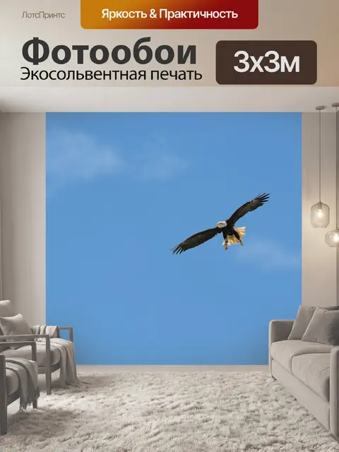Фотообои Птица