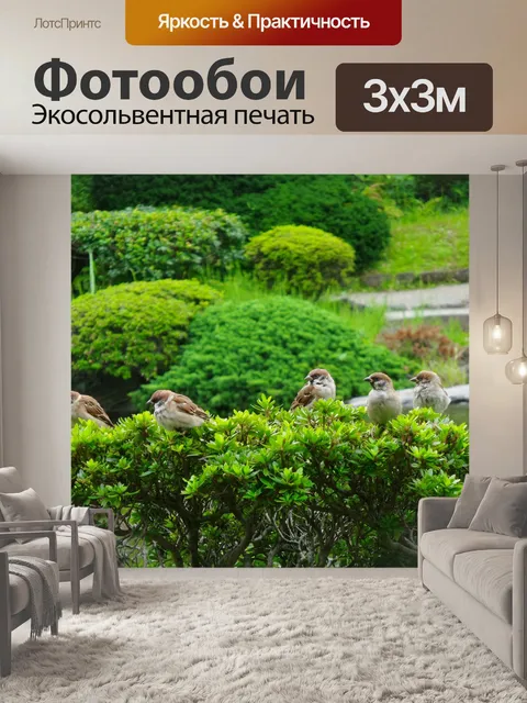 Фотообои Воробьи