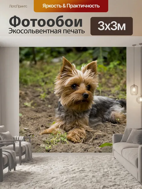 Фотообои Собака