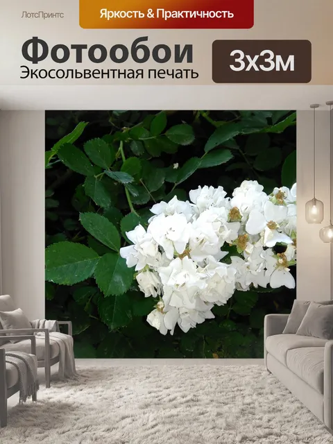 Фотообои Белый цветок