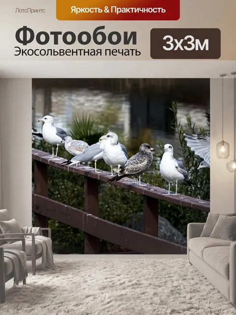 Фотообои Птицы