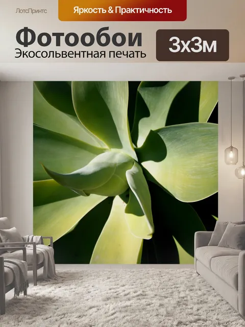 Фотообои Агава сочные