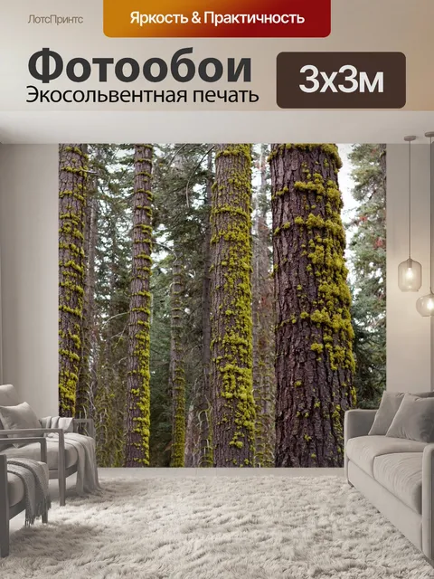 Фотообои Деревья