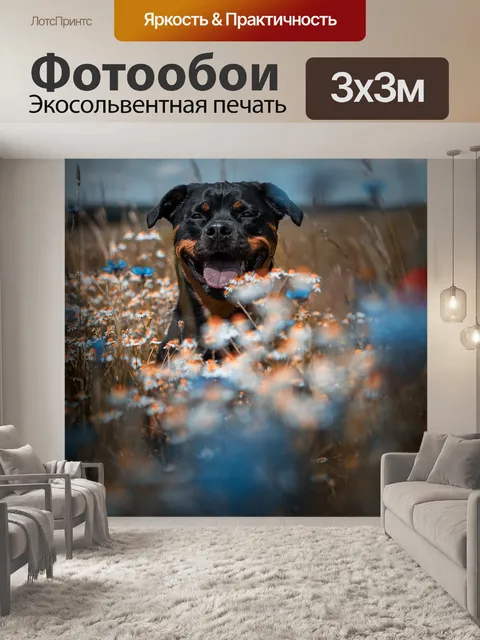 Фотообои Собака