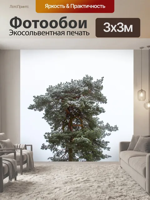 Фотообои дерево