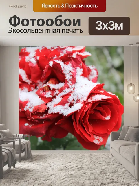 Фотообои Роза