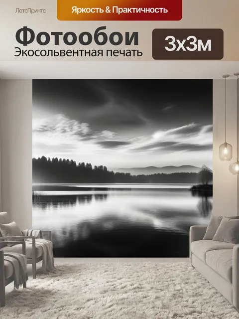 Фотообои пейзаж с озером маслом чернобелый