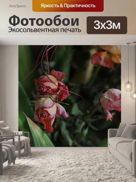 Фотообои Розы