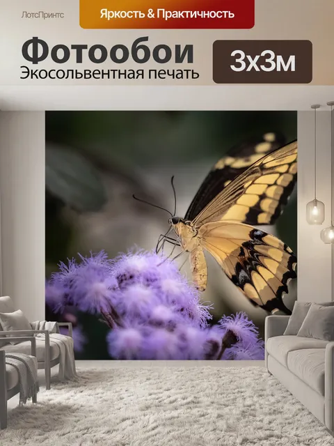 Фотообои Бабочка