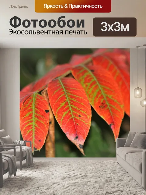 Фотообои Сумах листья крупным планом