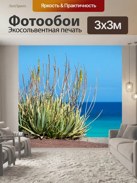 Фотообои Алоэ вера и море
