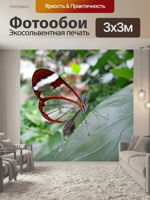 Фотообои Бабочка
