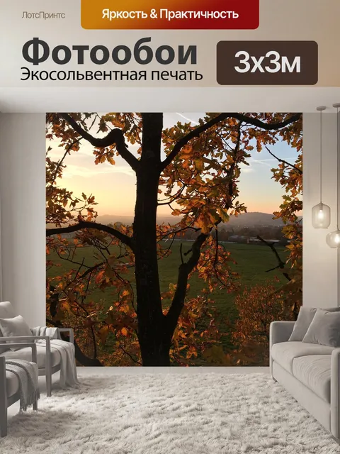 Фотообои Дерево