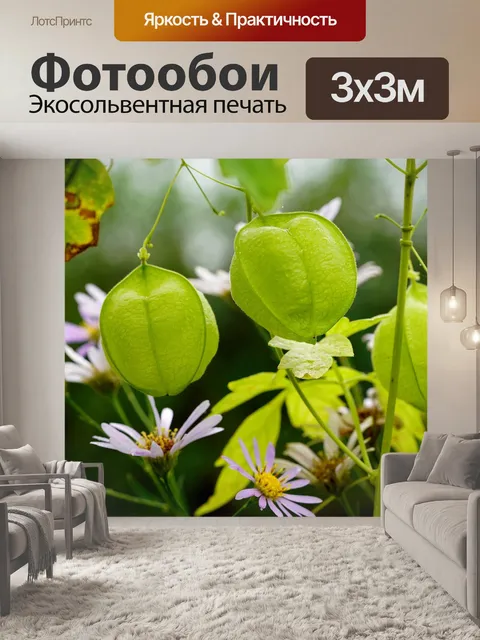 Фотообои Росы