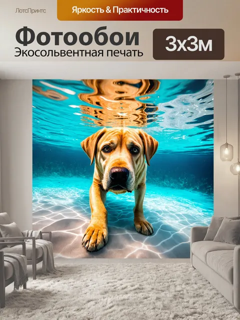 Фотообои лабрадор, исследующий подводный мир в кристально чистой воде
