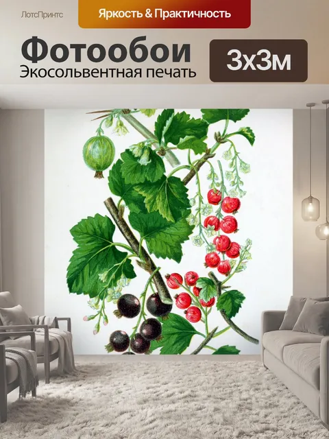 Фотообои Фрукты старого винтажного искусства
