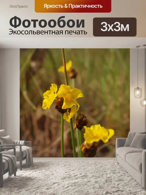 Фотообои Цветки одичалые Стоковая Фотография