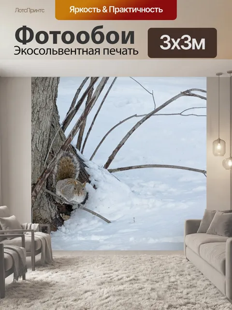 Фотообои Белка на снегу