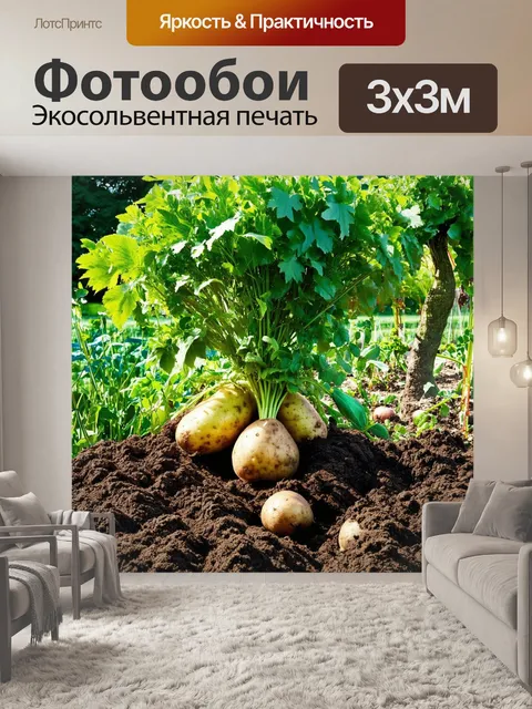 Фотообои заброшенный огород с множеством растущих овощей