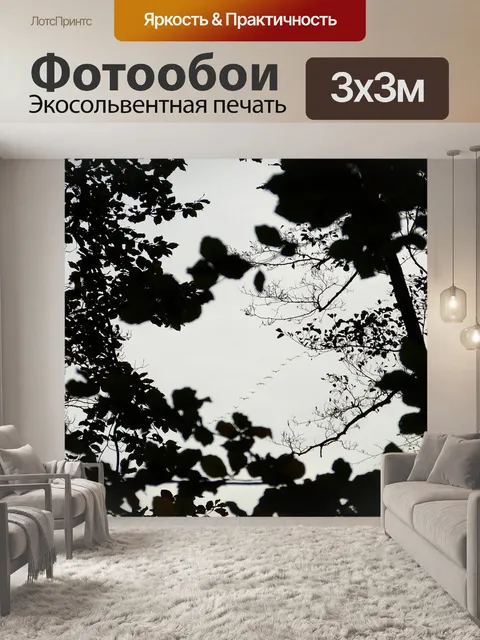 Фотообои Гуси