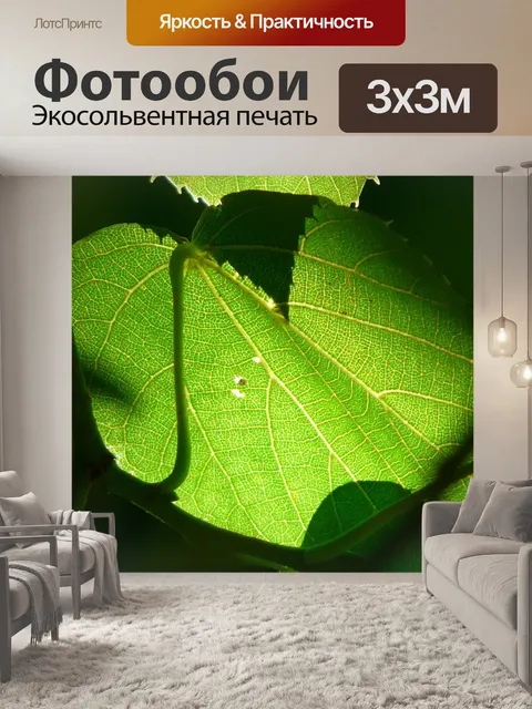 Фотообои Жилки листьев