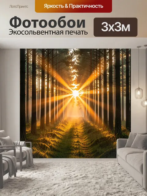Фотообои Солнечные лучи в сосновом лесу