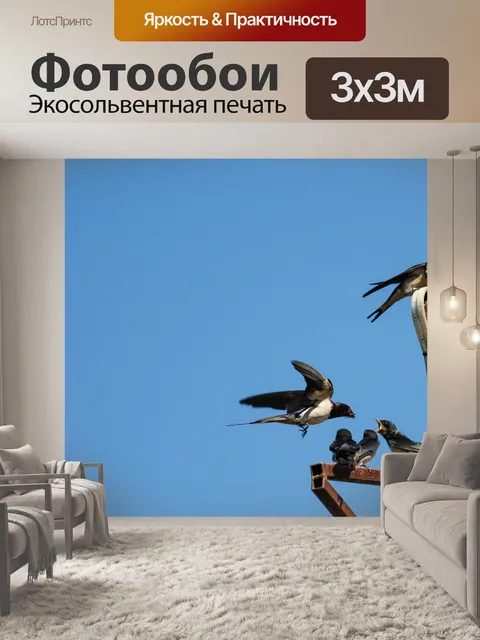 Фотообои Птицы