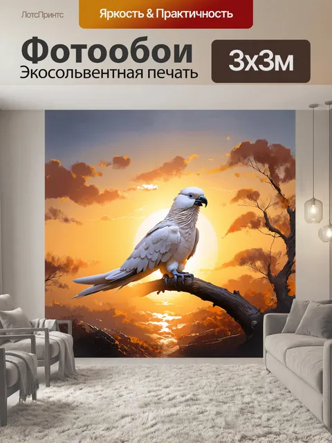 Фотообои корелла сидит на ветке