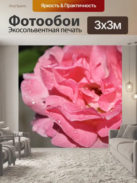 Фотообои Розы