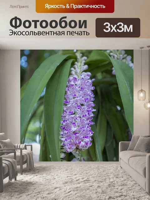 Фотообои Цветок