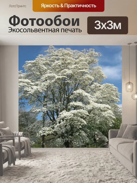Фотообои Кизил