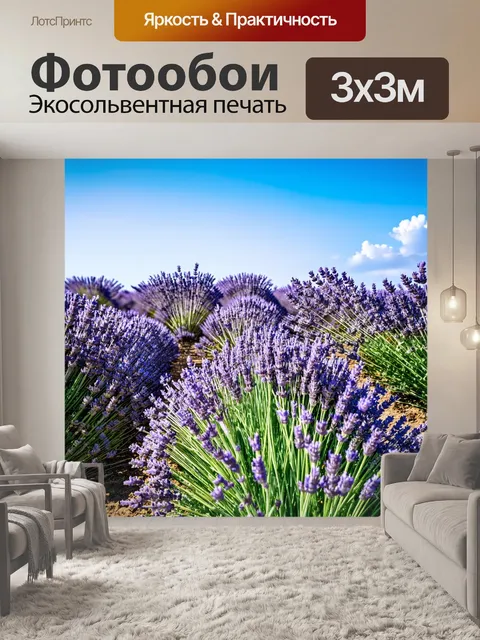 Фотообои пейзаж с полем лаванды под голубым небом