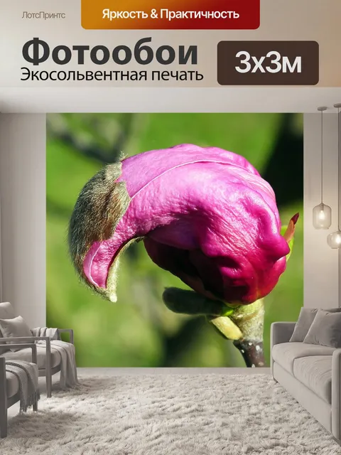 Фотообои Цветок