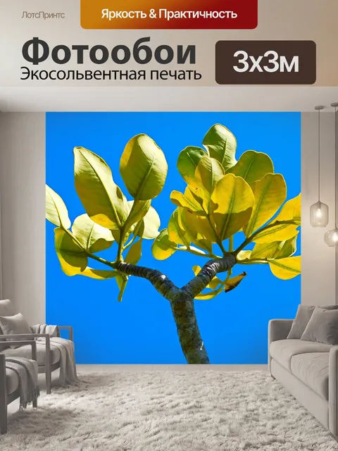 Фотообои Листья