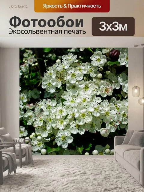 Фотообои Цветы