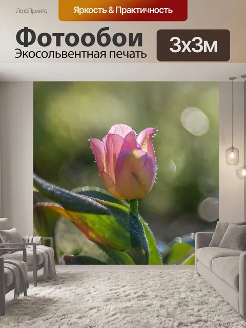 Фотообои Цветок
