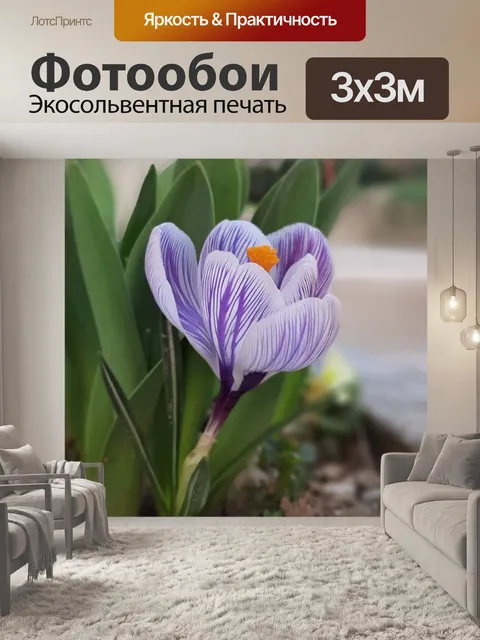 Фотообои Цветы