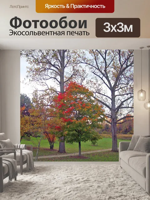 Фотообои Осенние деревья