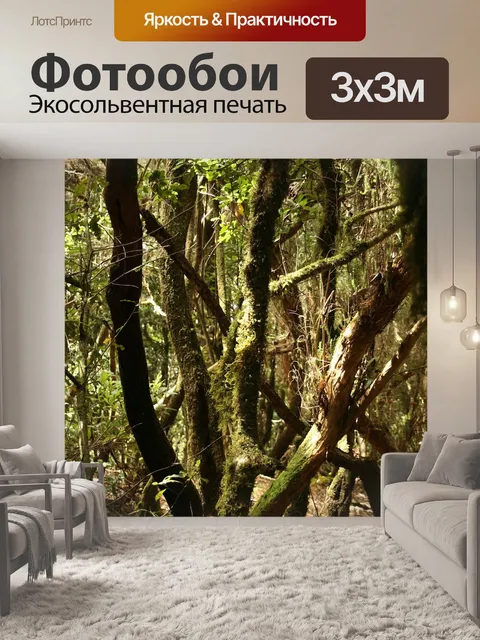 Фотообои Лес