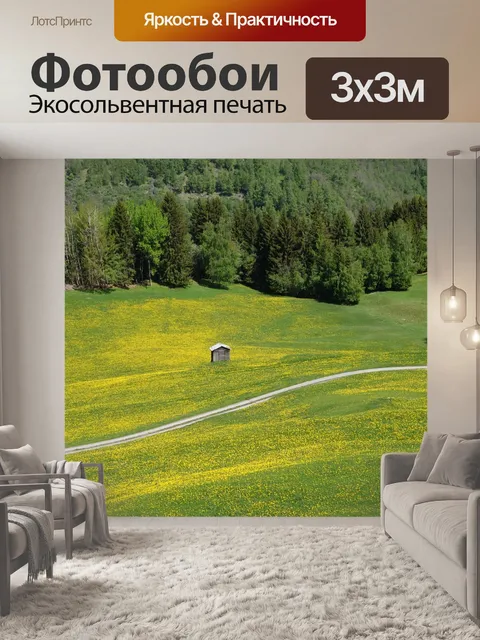 Фотообои Поле