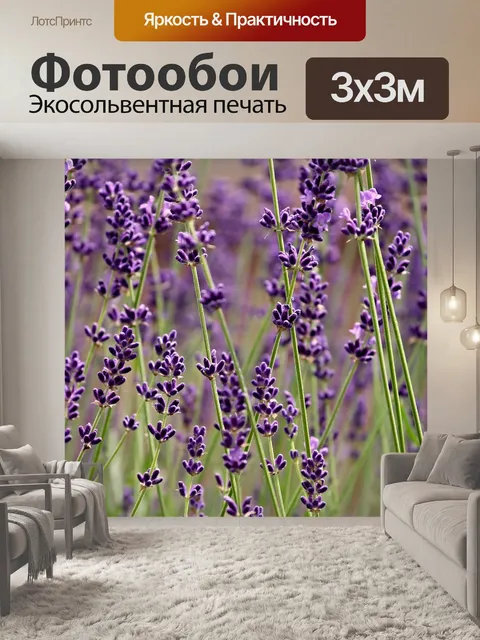 Фотообои Лаванда