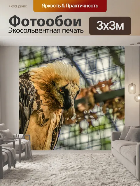 Фотообои Гриф