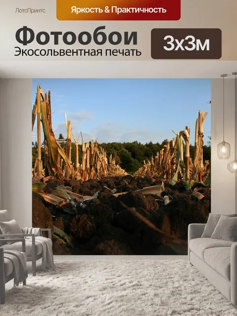 Фотообои Поля