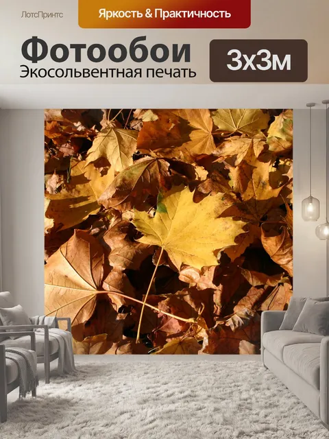 Фотообои Парк