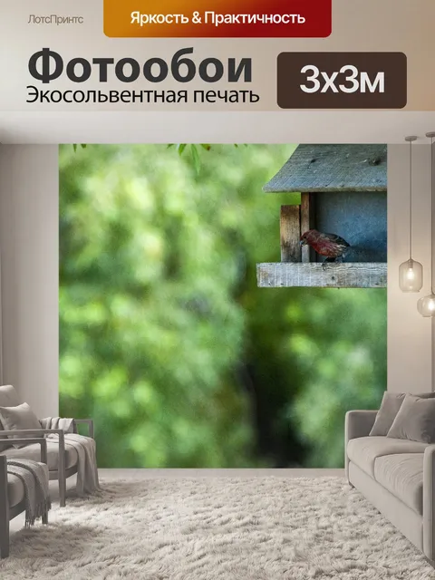Фотообои Робин в птичьего домика