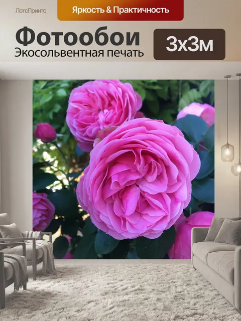 Фотообои Розовый