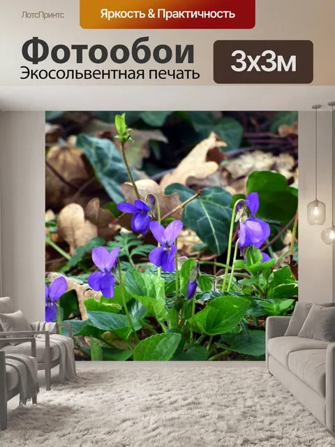 Фотообои Цветы