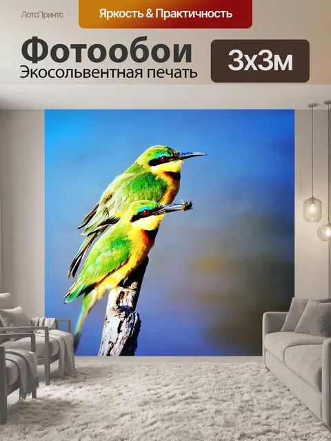 Фотообои Две птицы
